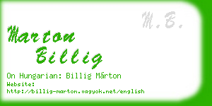 marton billig business card